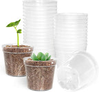 BTPLASTIK 50 Pack 2.5 Inch Clear Nursery Pots by BTPLASTIK