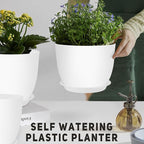 Plant Pots 12/10/9 inch Set of 3, Flower Pots - Image 5