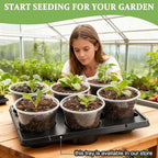 60 Pack 6 Inch Clear Nursery Pots - Image 6