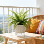 Self Watering Pots for Indoor Plants, 4 and 5.3 Inch - Image 5