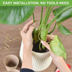 succulentlovers 4PCS Indoor Plant Support Stakes, 12.6 Inch Metal Monstera - Image 4