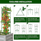 3 Pack Tomato Cages for Garden, Heavy Duty Adjustable Tomato Stake Support for - Image 6