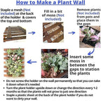 ShopLaLa Wall Planter - Image 7
