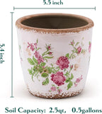 Vintage Ceramic Planter with Drainage Hole, Plastic Tray & Mesh, 5.5 Inch - Image 5