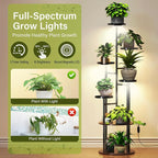 TC-HOMENY Plant Stand Indoor - Image 3