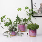 Gepege Ceramic Pots for Plants, Rainbow Pearl Glaze Planter - Image 5