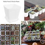 24 Pack 3 Inch White Square Plastic Plant Pots - Image 7