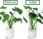 LEOBRO Tomato Cage, Climbing Plant, Plant Cages - Image 3