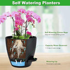 6 Inch Orchid Pots with Holes, 2 Pack Self Watering Planters - Image 3