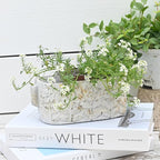 8 inch Pots Planters Indoor Plants Succulent Pots Rectangle Window Box Cactus - Image 5