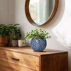 4 inch Plant Pots - Image 6