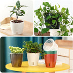 Self Watering Pots for Indoor Plants, Small African Violet Pots - Image 8