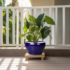Ceramic Pot for Plants - Image 2