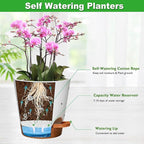 Orchid Pots with Holes, 6 Inch Self Watering Orchid Pot 2 Pack Plastic Plant - Image 3