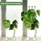 32in Large Indoor Plant Trellis - Image 3