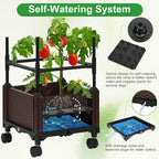 Lezmarket Self Watering Tomato Planter - Image 2