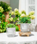 Melphoe Self Watering Pots for Indoor Plants Planter, 4.3 Inch 2 Pack Planters - Image 2