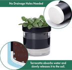 Phoenix Vine 4 Inch Self Watering Planter Pot - Image 5