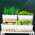 FAMZ Self Watering Pots for Indoor Plants 3 Pack Transparent Rectangular - Image 8