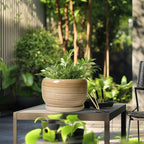 SQOWL Ceramic Plant Pot - Image 5