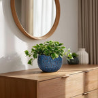 6 Inch Plant Pot - Image 7