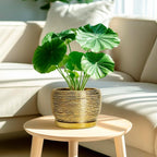 SQOWL Ceramic Flower Pot - Image 2