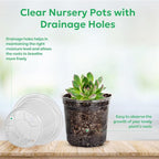 60 Packs 3.5 Inch Reinforced Clear Nursery Pots - Image 3