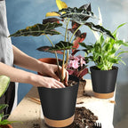 GARDIFE Plant Pots 8/7/6.5/6/5.5/5 Inch Self Watering Planters - Image 6
