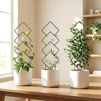 Indoor Trellis for Climbing Plants: 3PC Small Garden Metal Trellis for Vine Ivy - Image 4