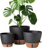 12/10/8 Inch Self Watering Pots by Montresor