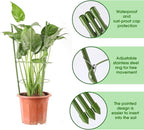 Kgozwon 4 Pack Tomato Cage Plant Support Cages - Image 3