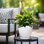 8 Inch Plant Pot - Image 5