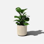 Veradek Demi Series Round Planter - Image 9