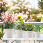 10 Inch Plastic-Flower-Pot-for-Indoor-Plants, 4 Pack Large Outdoor Planter Pot - Image 7