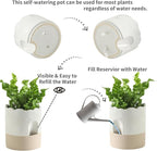 Nihow Self Watering Plant Pot: 6 Inch Ceramic Planter - Image 3
