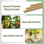 Bamboo Stakes, 4.8FT Natural Bamboo Garden Stakes, BOVITRO 20Pcs Plant Stakes - Image 4