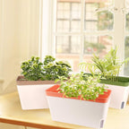 OurWarm Windowsill Herb Planter Box Indoor Set of 3, 10.5 Inch Self Watering - Image 6