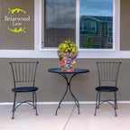 Briarwood Lane Zinnias in Bloom Medium Planter - Image 3