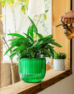 Melphoe Self Watering Pots for Indoor Plants Planter, 6.5 Inch 2 Pack Planters - Image 5
