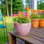 6 Inch Plant Pot - Image 4