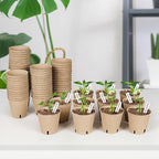 120 Packs 3.15 Inch Peat Pots, Biodegradable Pots - Image 7