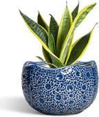 Ceramic Pots for Plants by Thirtypot
