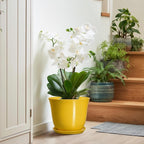 Ceramic Planter - Image 6
