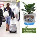 Self Watering Pots for Indoor Plants, 12 inch Planters - Image 6