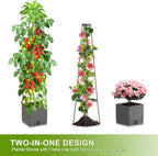 2 Pack Raised Garden Bed Tomato Planter - Image 5