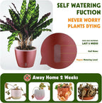 Self Watering Pots for Indoor Plants, Small African Violet Pots - Image 2