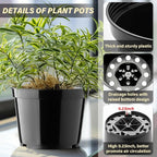 BTPLASTIK 15 Pack 6 Inch Plastic Plant Pots - Image 3
