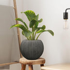11.8" H X 14.5" D Round Plastic Planter - Image 8