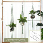 6 Pcs Plastic Plant Propagation - Image 5