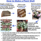 ShopLaLa Wall Planter - Image 5